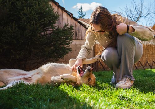 Pet Sitting Best Places To Walk Your Dog Near Me Free Pet-sitting - Main Image