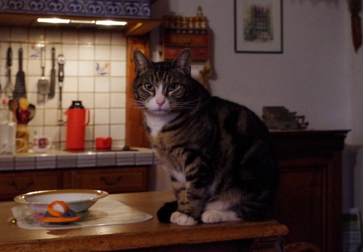 Des photos de la maison de Jean-Claude B.
