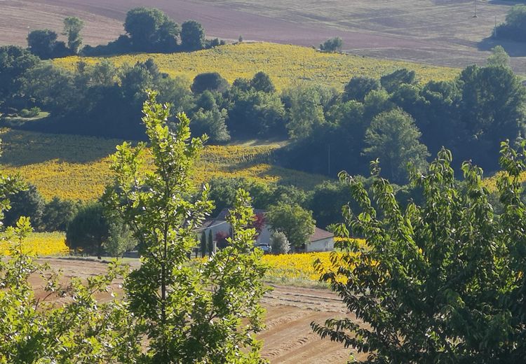 Des photos de la maison de PASCALE et JEAN-LUC