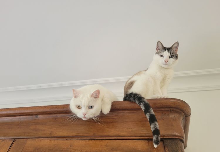 Fotos von Marie-Caroline K. Haus