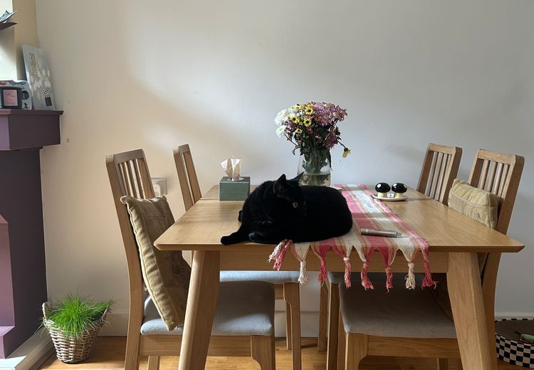 Pictures of Viktoria B.'s house