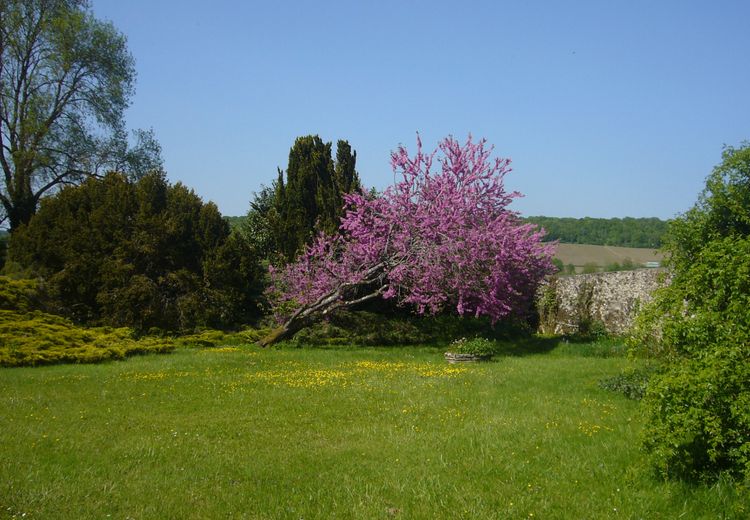 Fotos von Sonia C. Haus