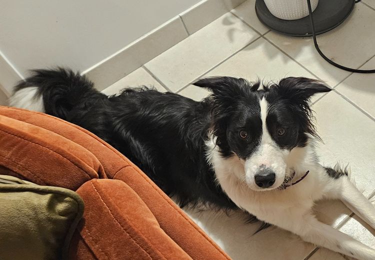 Des photos de la maison de Hellofamily