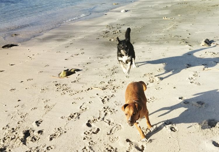 Fotos von ELODIE L. Haus