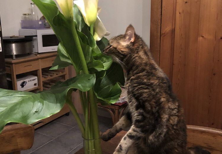 Des photos de la maison de Caroline et Pascal
