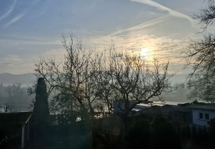 Des photos de la maison de Manu-Ella V.