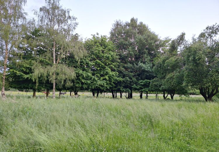 Des photos de la maison de Émilie B.