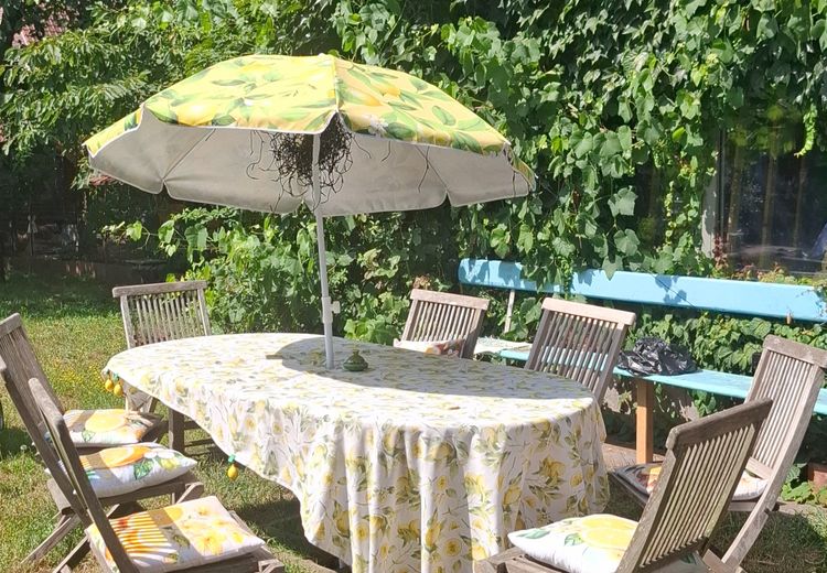 Fotos von Conny Haus