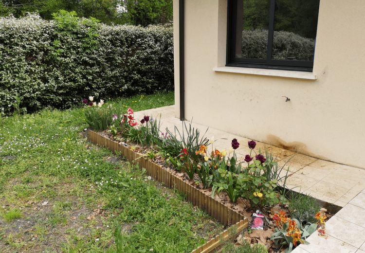 Pictures of Louis's house