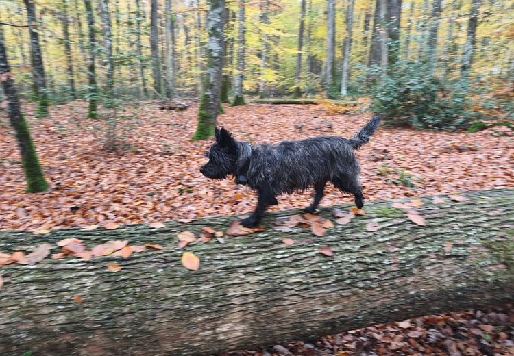 Fotos von Anne-Sophie Haus