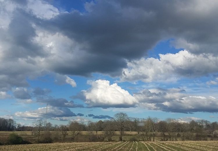 Fotos von Cécile V. Haus