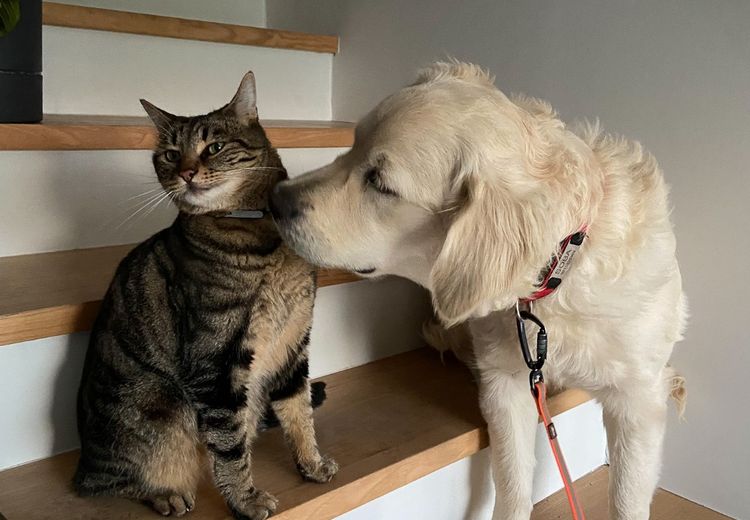 Pictures of colette P.'s house