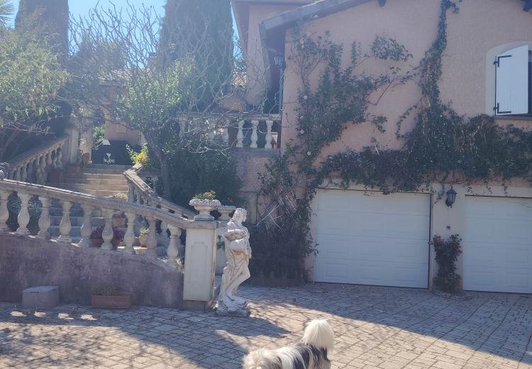 Pictures of Dany's house