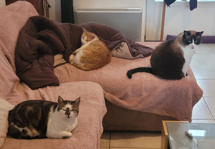 Des photos de la maison de Morgane