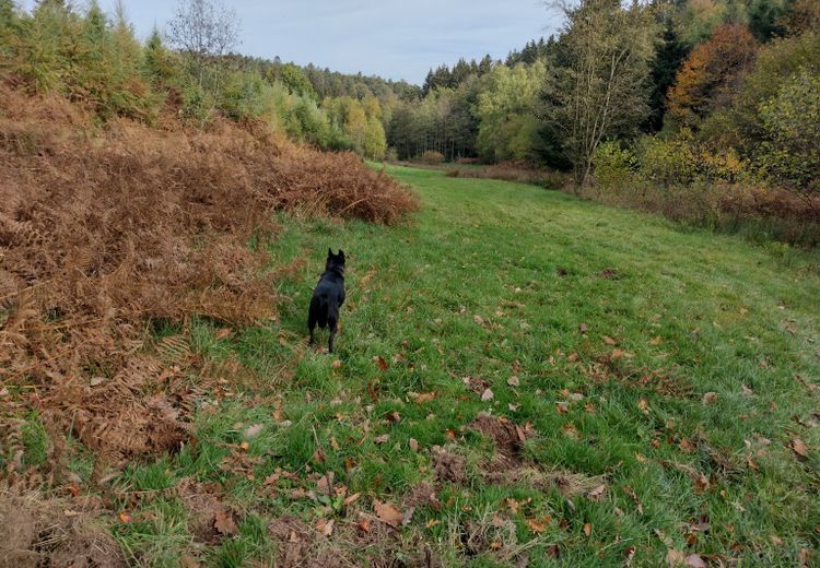 Fotos von Cécile G. Haus