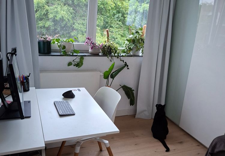 Pictures of Aga's house