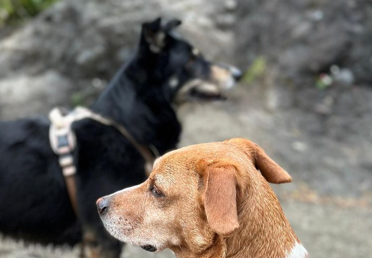 Fotos von ELODIE L. Haus