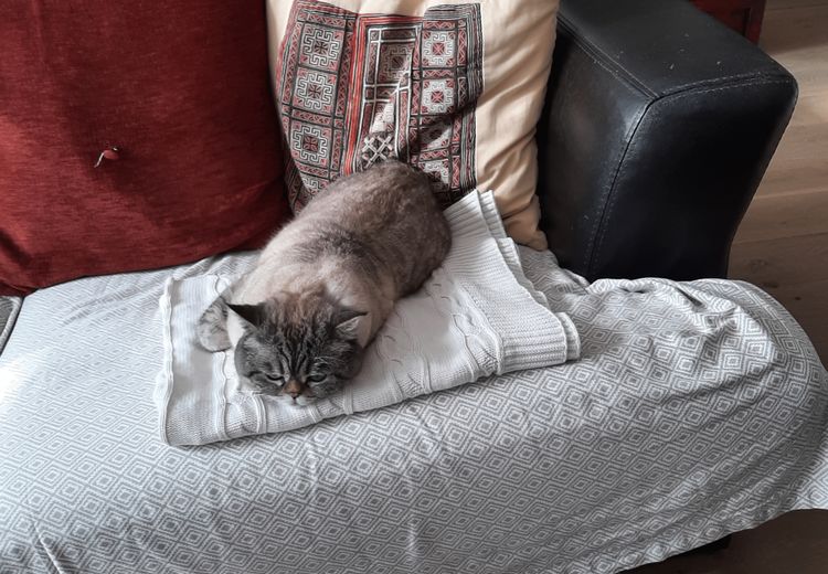 Des photos de la maison de Chat-m'Anne