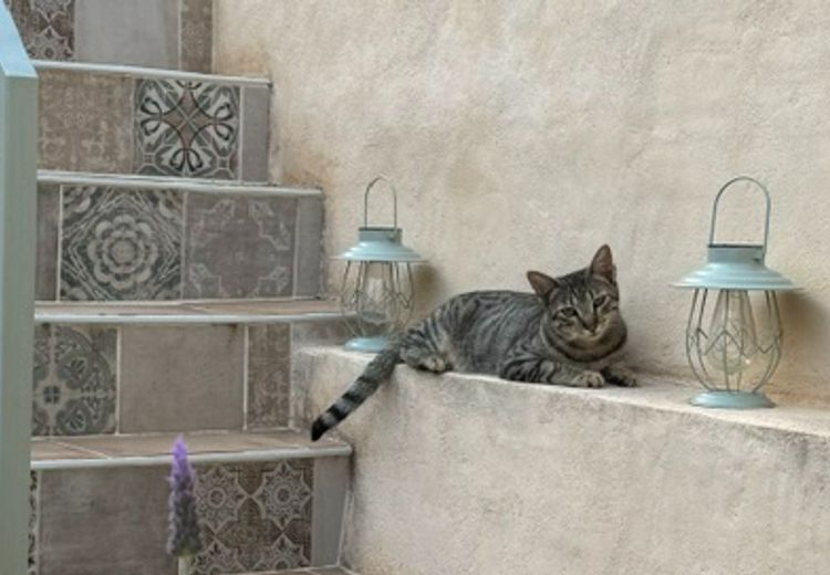 Pictures of Cecile G.'s house