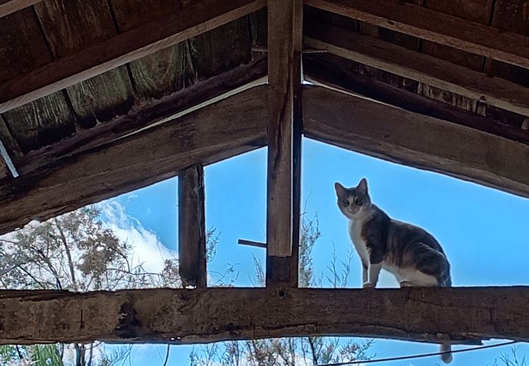 Fotos von Frédérique D. Haus