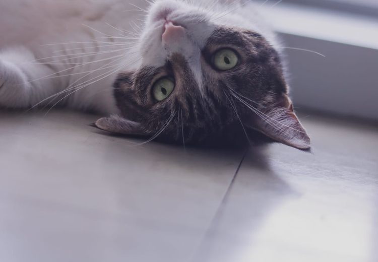 Fotos von Bastien L. Haus