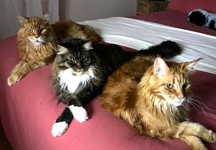 Des photos de la maison de DANIEL