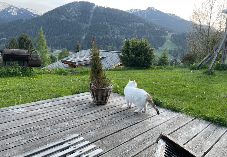 Fotos von Frédérique Haus