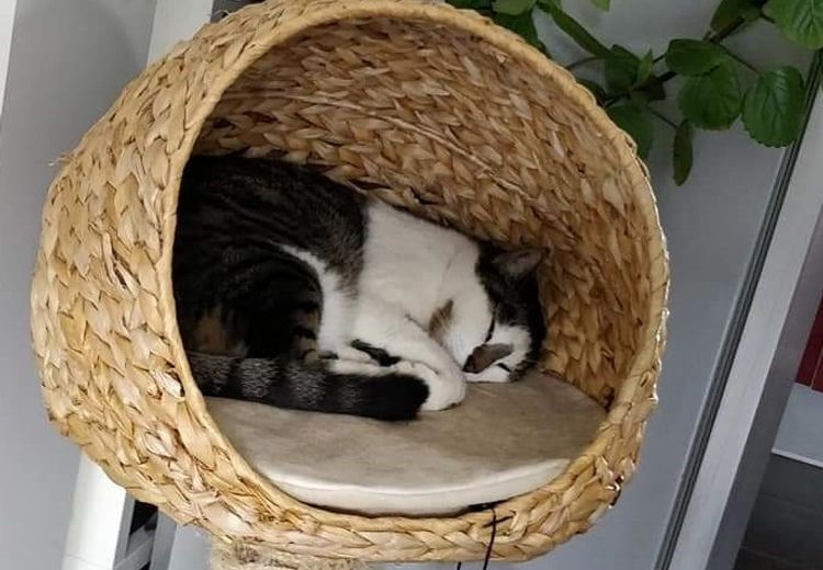 Pictures of Joanna P.'s house