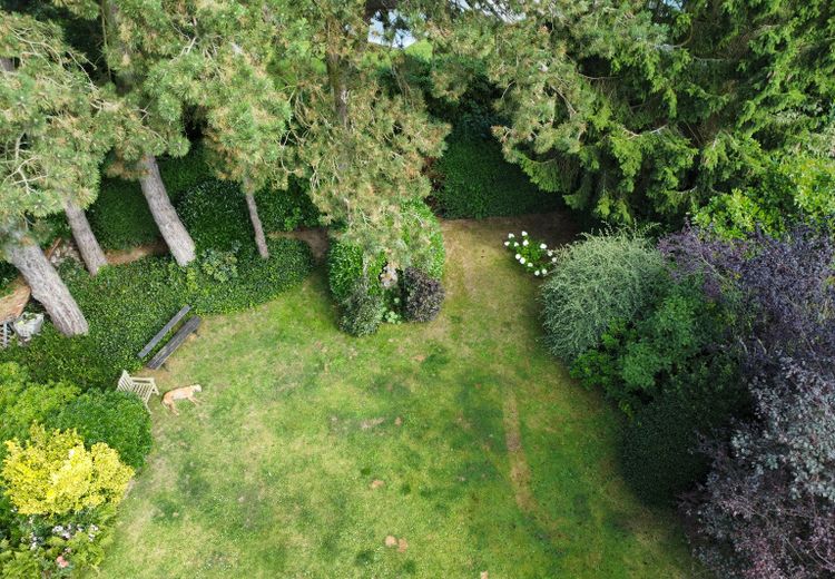 Pictures of PATRICK T.'s house