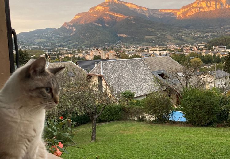 Des photos de la maison de Frédérique