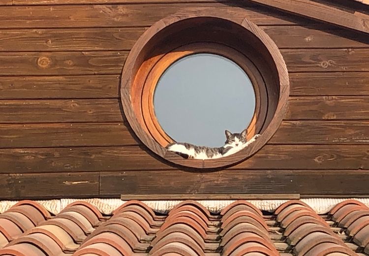 Des photos de la maison de Brigitte B.
