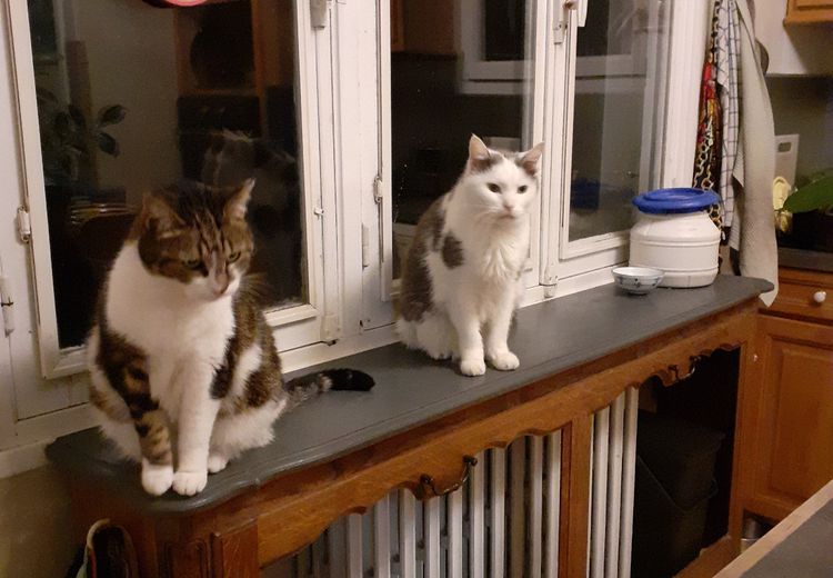 Des photos de la maison de Camille