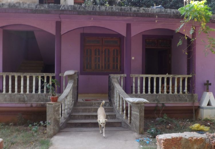 Pictures of Shima H.'s house