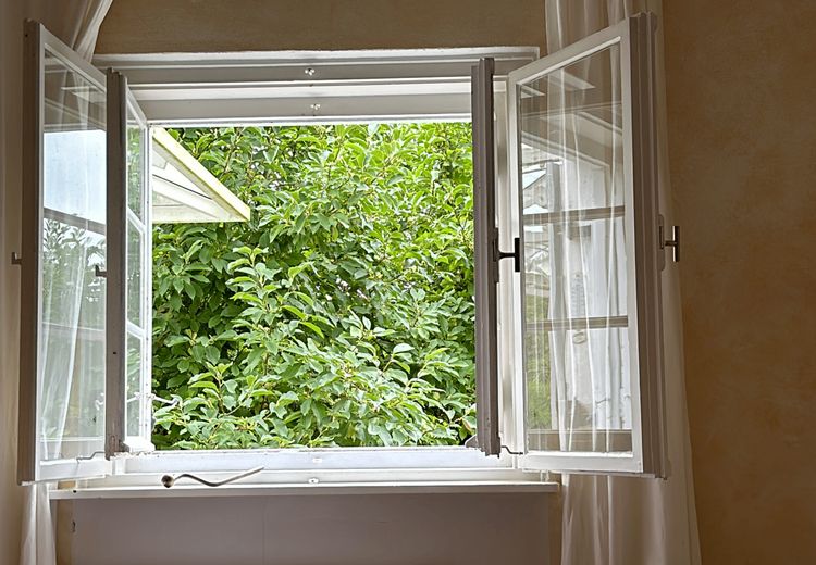 Pictures of Juliane und Paul's house