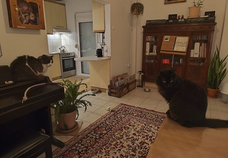 Des photos de la maison de Rhea