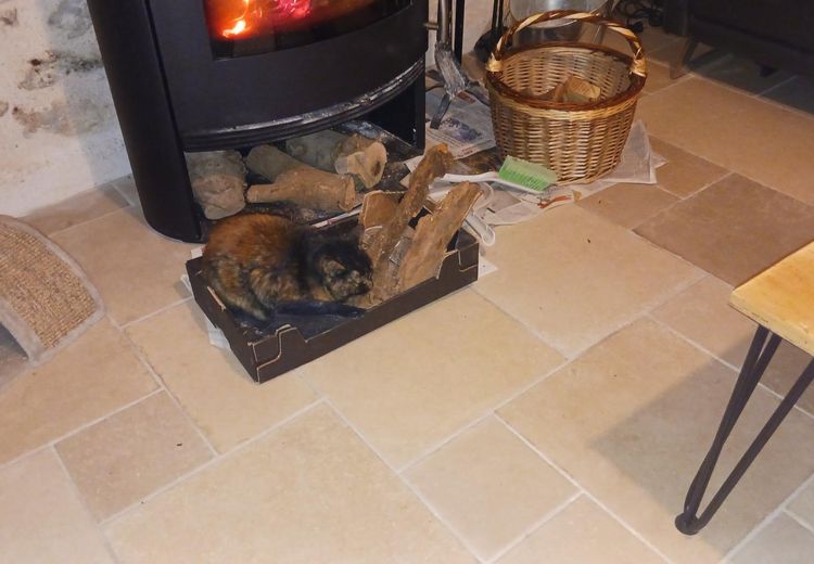 Des photos de la maison de Alizée