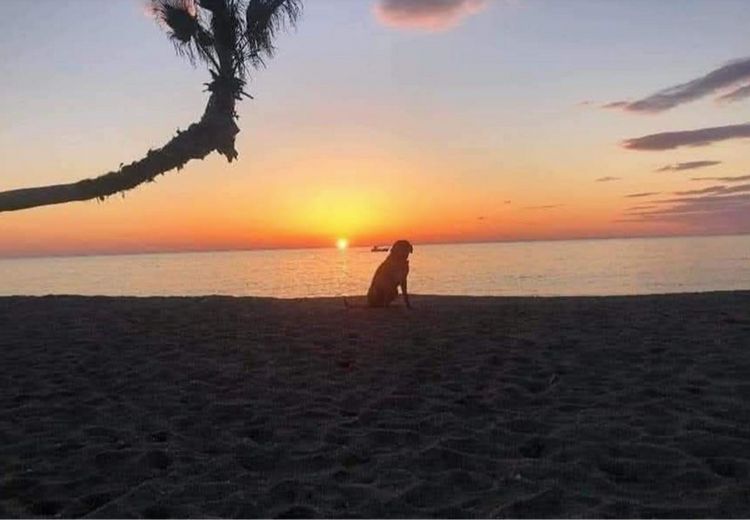 Fotos von Sophie du Sud Haus