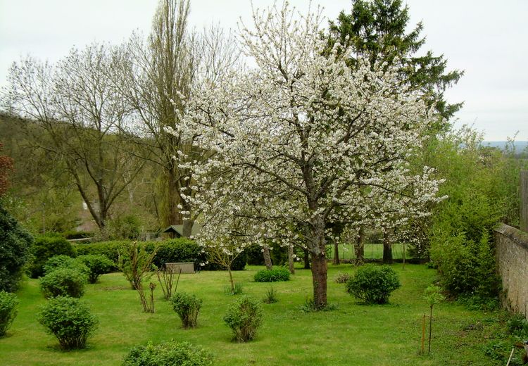 Pictures of Dominique et Jean-Loup's house