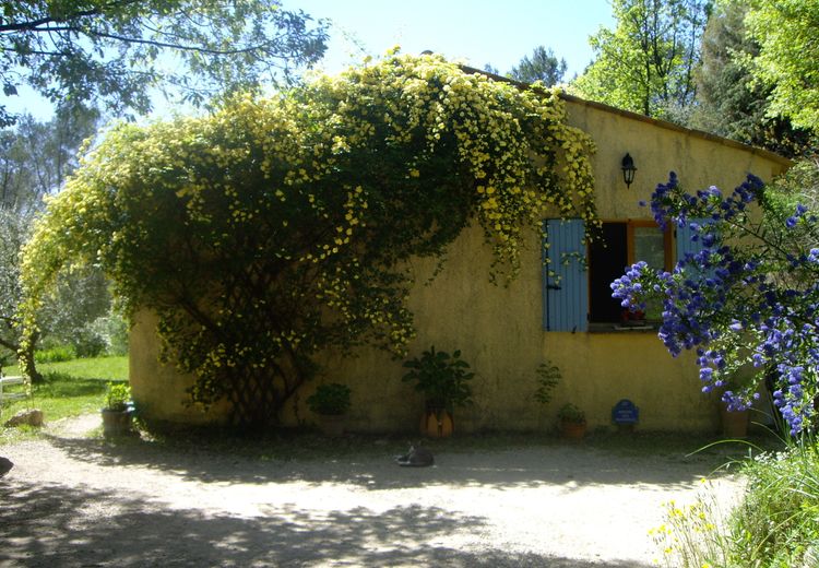 Pictures of Isabelle Fleury's house