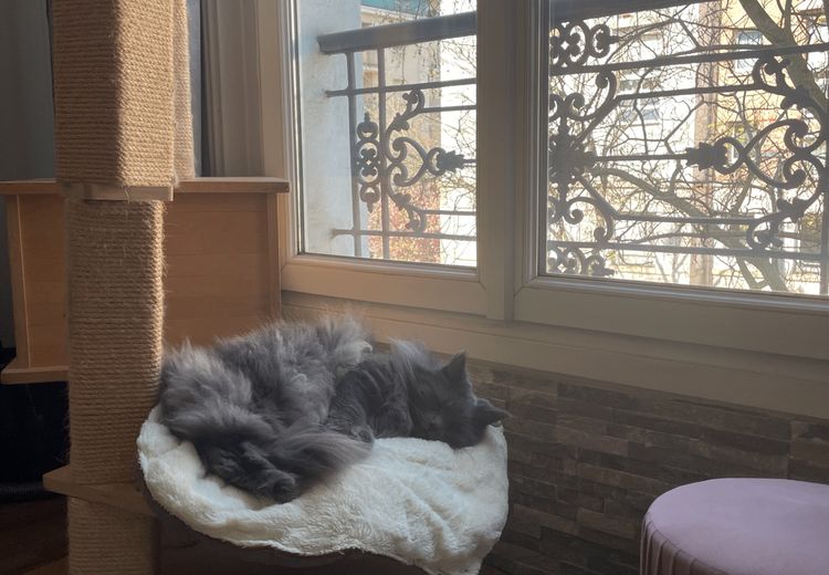 Pictures of Léna N.'s house