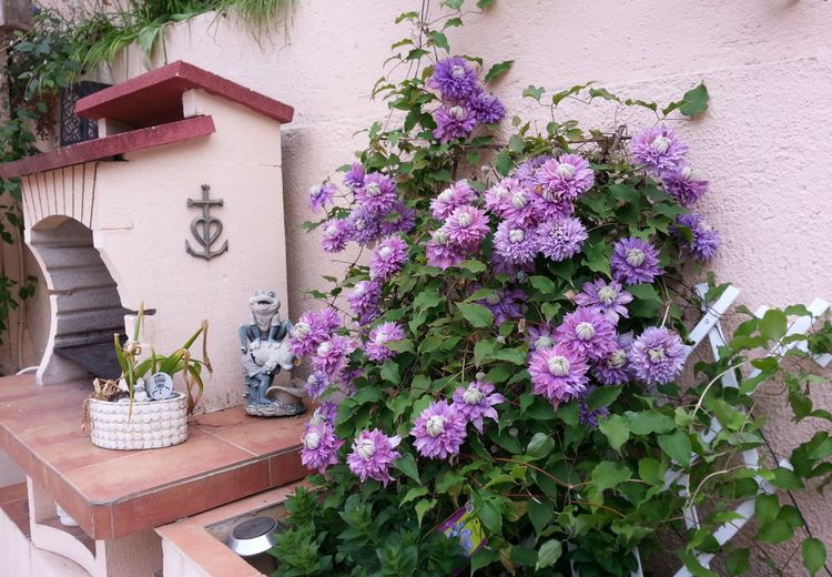 Fotos von ANNE MARIE  C. Haus