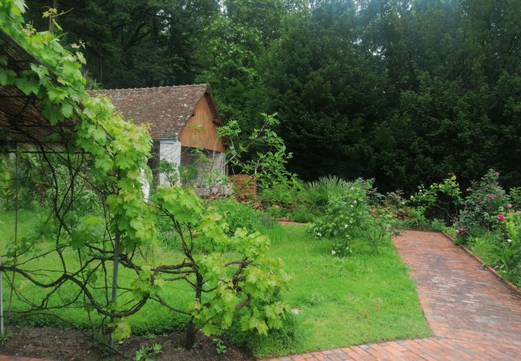 Des photos de la maison de Jtal41