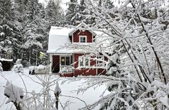 House with 3 cats in Eringsboda