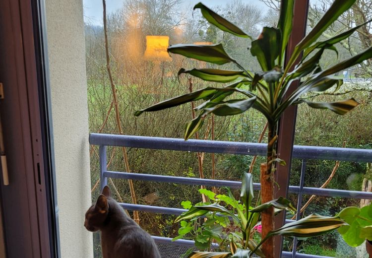 Des photos de la maison de Animéa