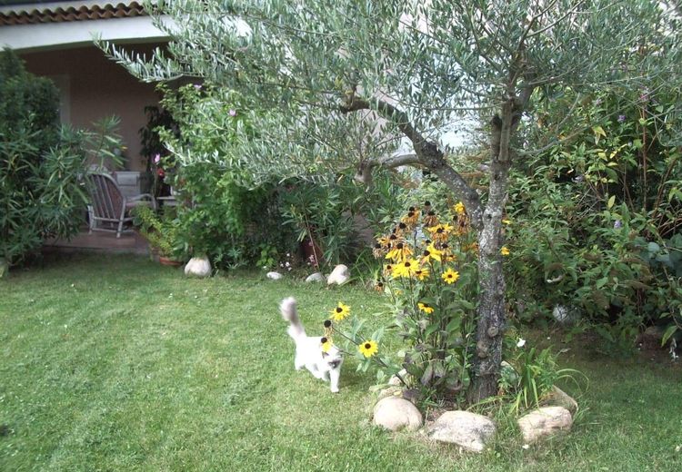 Des photos de la maison de Agnès O.