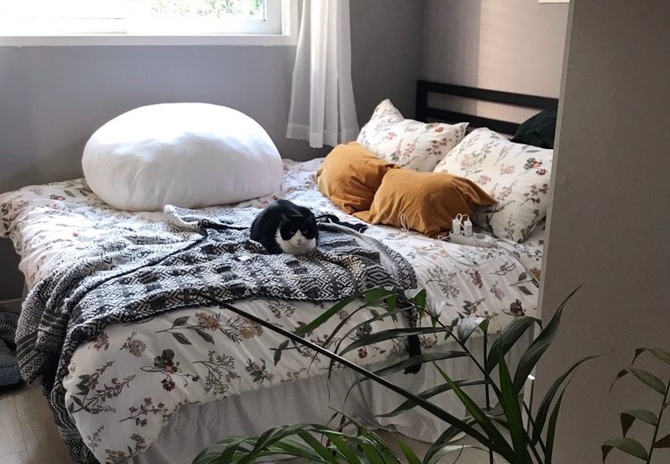 Fotos von Kelly K. Haus