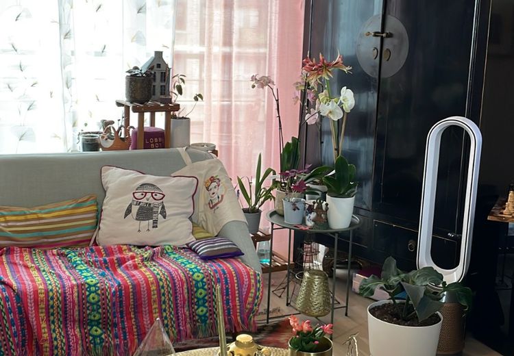 Pictures of Raphaelle T.'s house