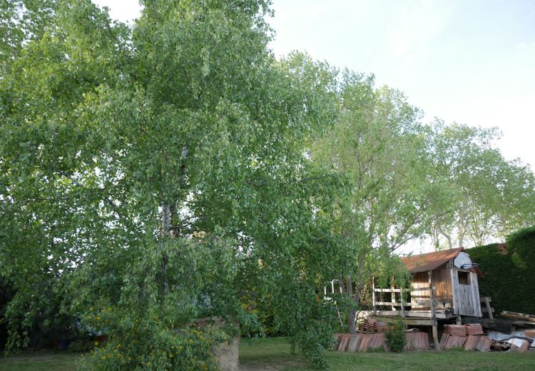 Des photos de la maison de Valérie