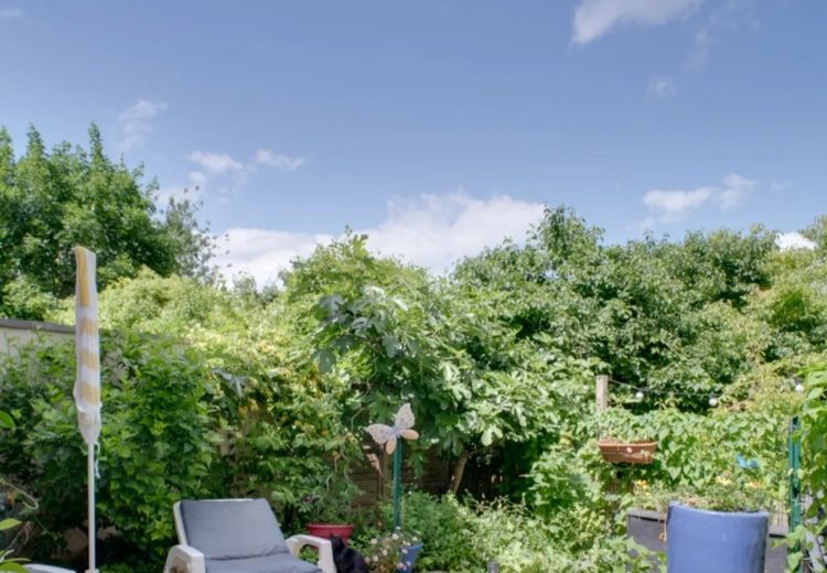 Pictures of Daniela B.'s house