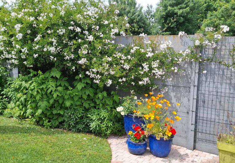 Pictures of FRANCOISE G.'s house